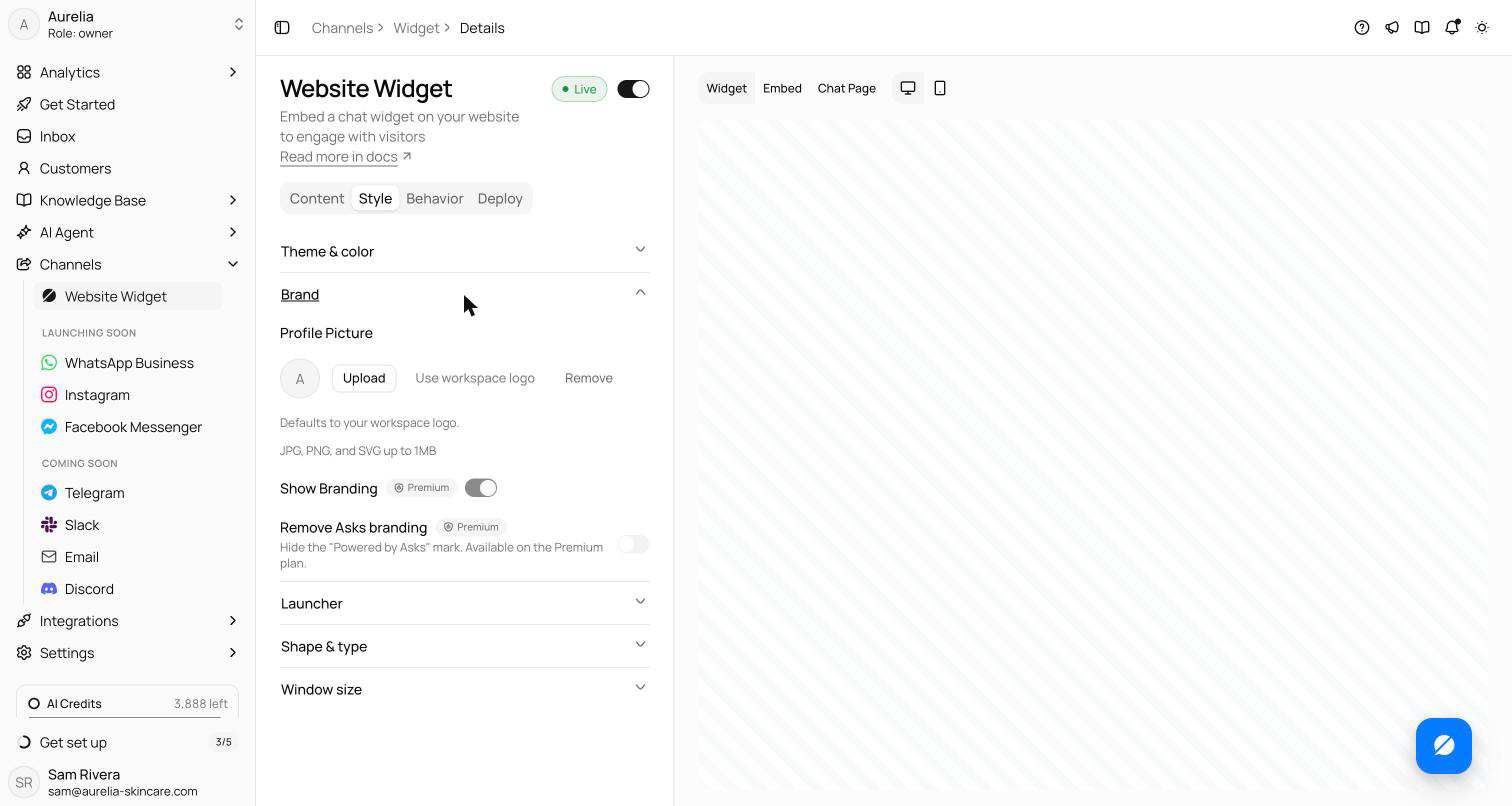 Style tab with the Brand section expanded showing the Profile Picture upload, workspace logo default, and Remove option